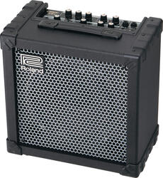 Roland Cube 30X