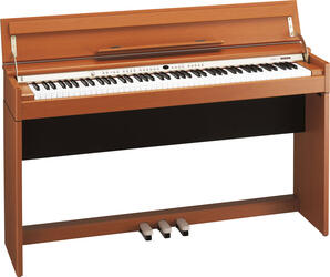 Roland DP-970