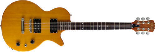 Stagg L250