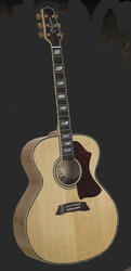 Takamine AJ25S