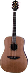 Takamine AN10