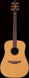 Takamine AN10S
