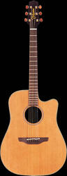 Takamine EAN10C