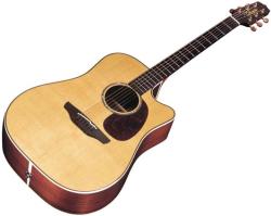 Takamine EAN16C