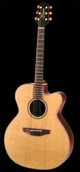 Takamine EAN20C