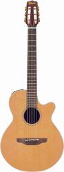 Takamine EAN30C