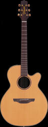 Takamine EAN40C