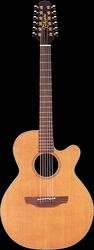 Takamine EAN40C12