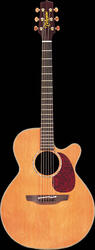 Takamine EAN45C
