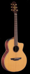 Takamine EAN55C