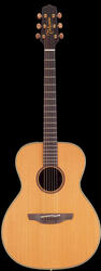 Takamine EAN70