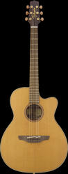 Takamine EAN70C