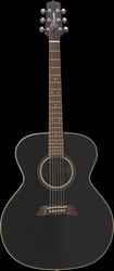 Takamine EF241S