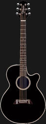 Takamine EF261SBL