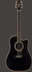 Takamine EF341C
