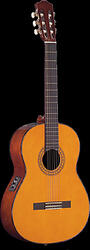 Takamine EG116