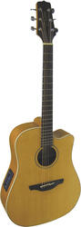 Takamine EG510SC