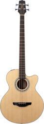 Takamine EG512C