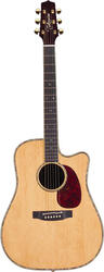 Takamine TNV360SC