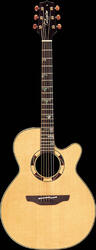 Takamine TSF48C