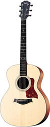 Taylor 214e