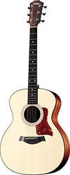 Taylor 314