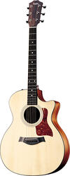 Taylor 314ce