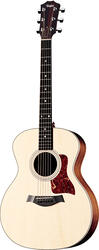 Taylor 414