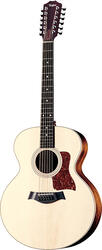 Taylor 455
