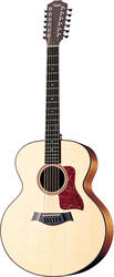 Taylor 555