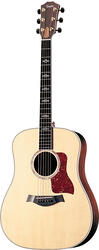 Taylor 810