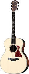 Taylor 814