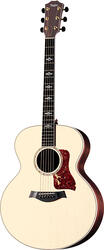 Taylor 815