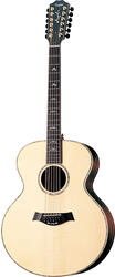 Taylor 955