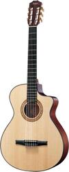 Taylor NS32ce