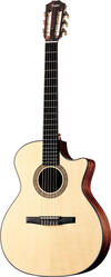 Taylor NS34ce