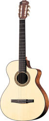 Taylor NS42ce