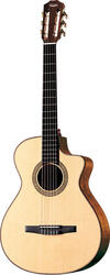 Taylor NS52ce