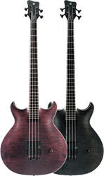 Warwick Hellborg Signature