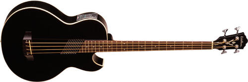 Washburn AB10