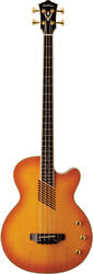 Washburn AB40
