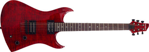 Washburn DD81
