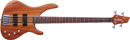 Washburn Force4