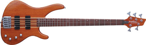 Washburn Force5