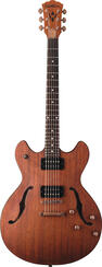 Washburn HB32DM