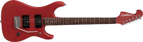 Washburn N1