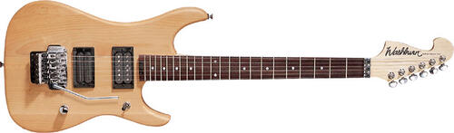Washburn N2