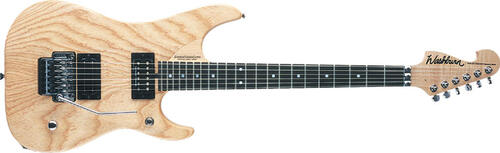 Washburn N4