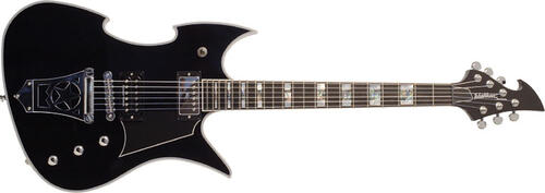 Washburn PS800