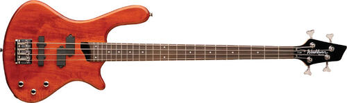 Washburn T14